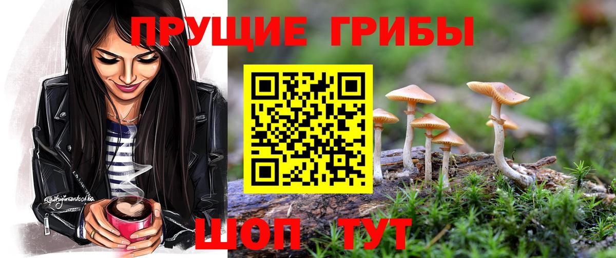 купить  сайты  Галлюциногенные грибы ЛСД  Галлюциногенные грибы Cubensis  Вход с VPN  Тосно 